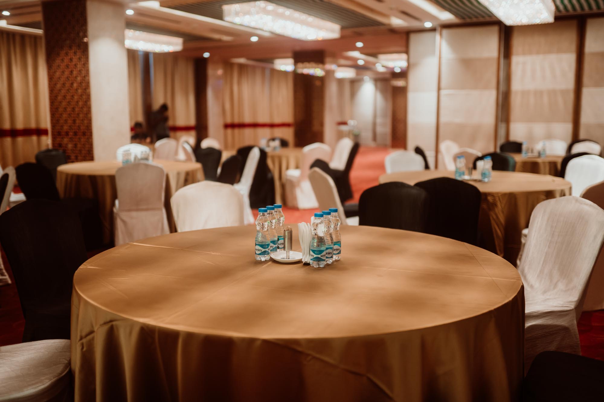Nisha & Rohit Wedding Reception — photo 4